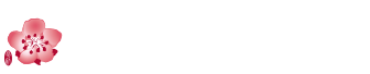 中華航空Logo