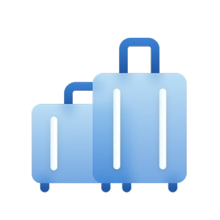 Checked baggage and cabin baggage