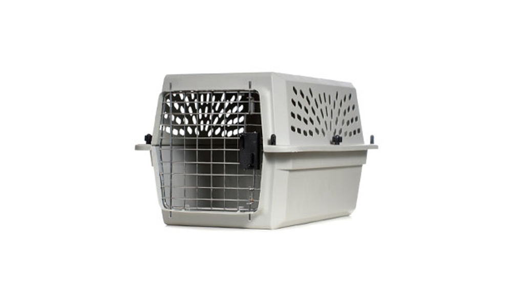 pet-1