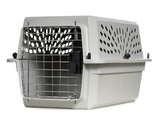 ペット チャイナ エアライン