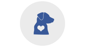 service dog